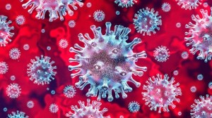 coronavirus image 2